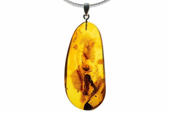 Polished Baltic Amber Pendant (Necklace) - Contains Beetle! #339467